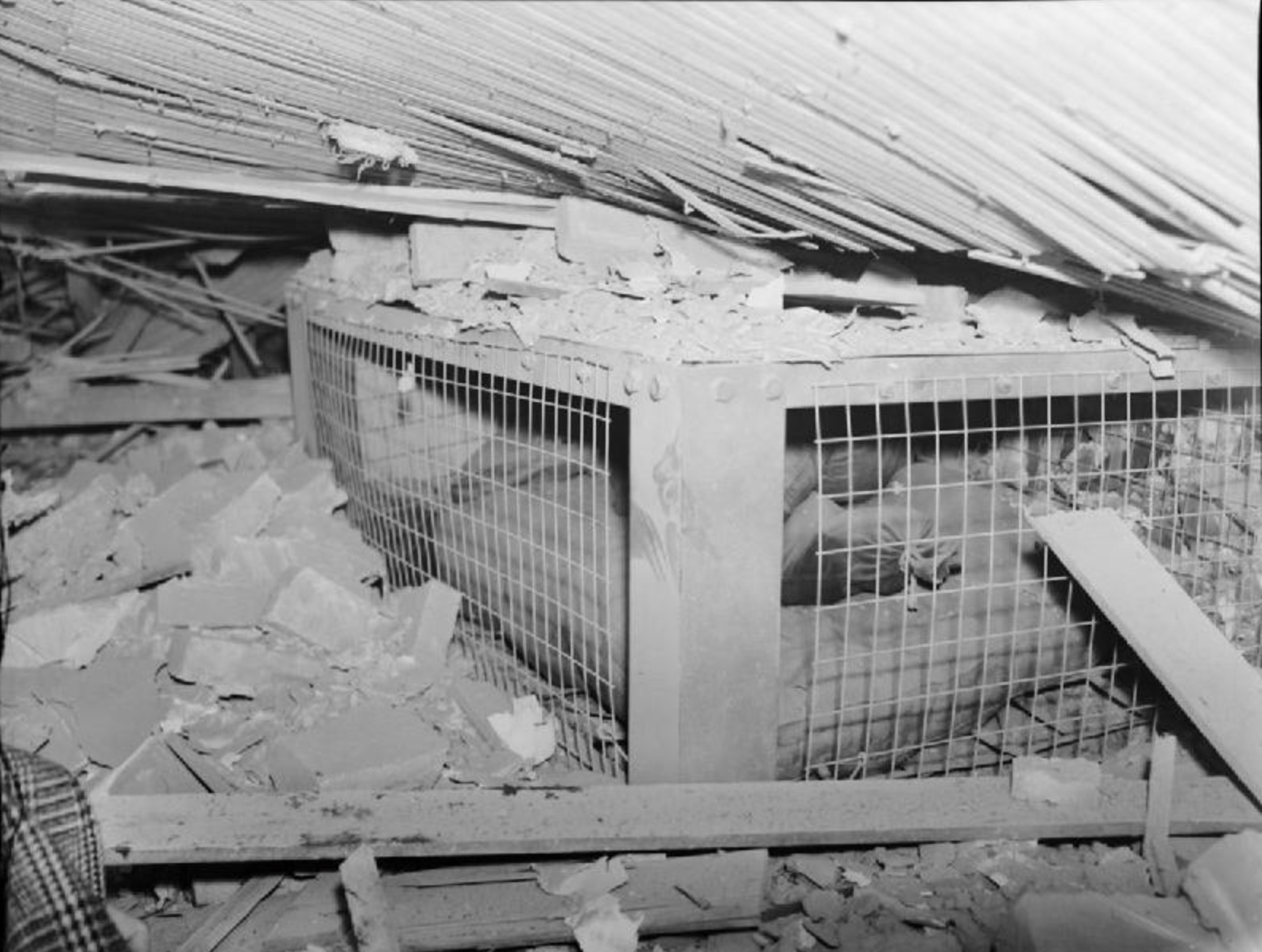 A Morrison shelter containing a dummy, after the house it was in had been destroyed as a test 